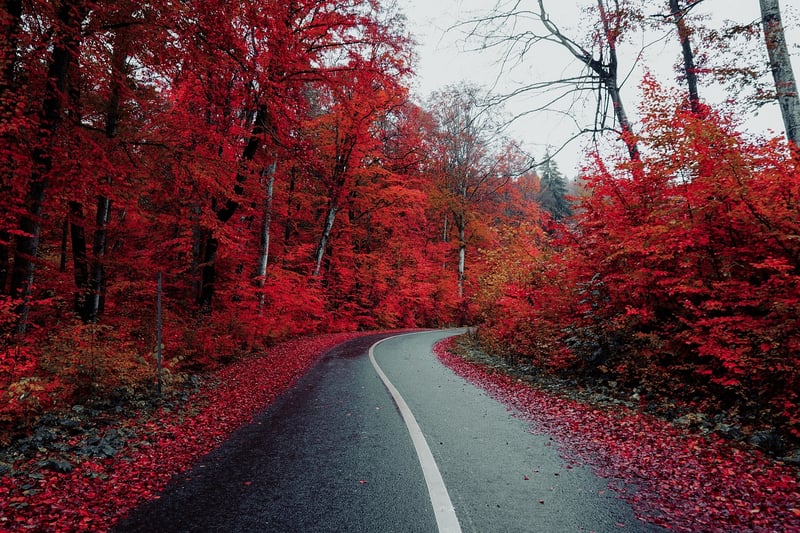 Road Adventure